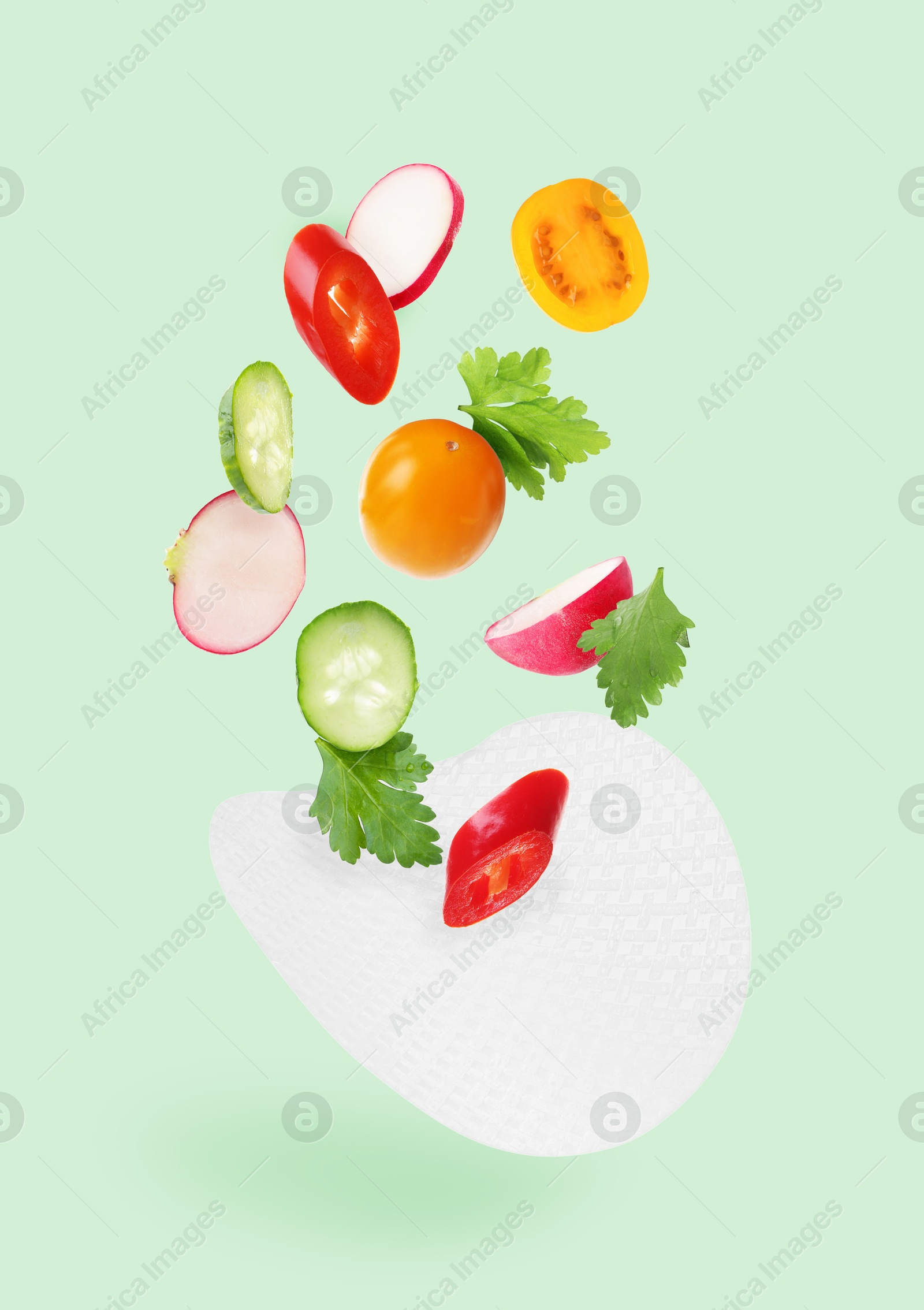 Rice paper and different ingredients falling on aquamarine color background Image of Rice paper and different ingredients falling on aquamarine color background