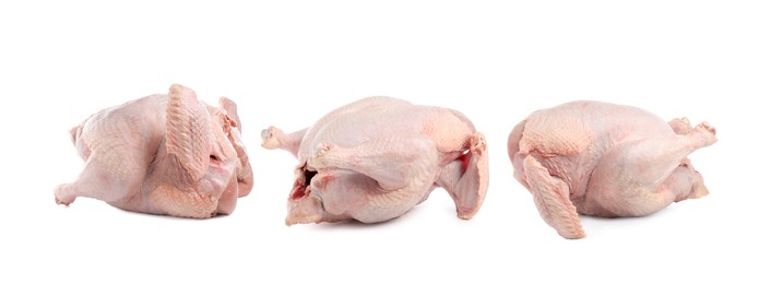 Image of Whole raw turkey isolated on white, set