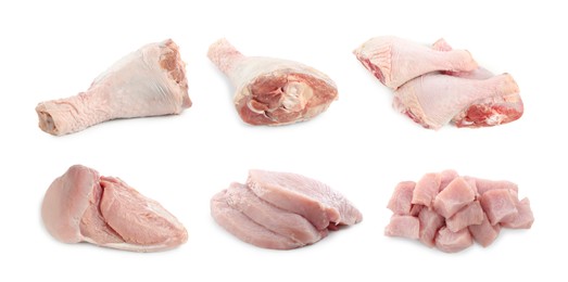 Image of Fresh raw turkey meat isolated on white, set