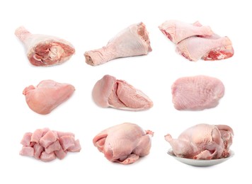 Image of Fresh raw turkey meat isolated on white, set
