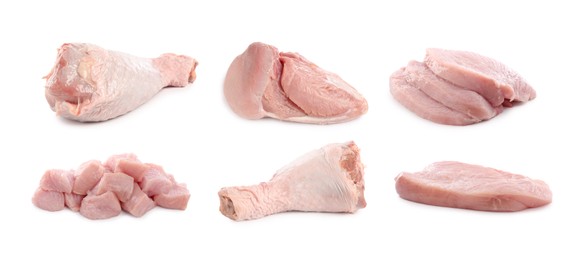 Image of Fresh raw turkey meat isolated on white, set