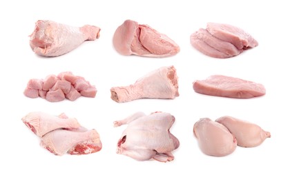 Image of Fresh raw turkey meat isolated on white, set