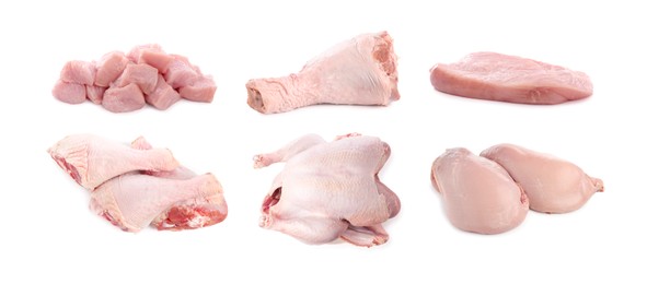 Image of Fresh raw turkey meat isolated on white, set