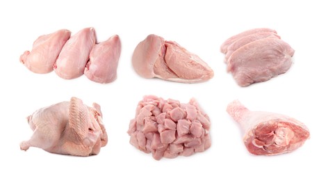 Image of Fresh raw turkey meat isolated on white, set
