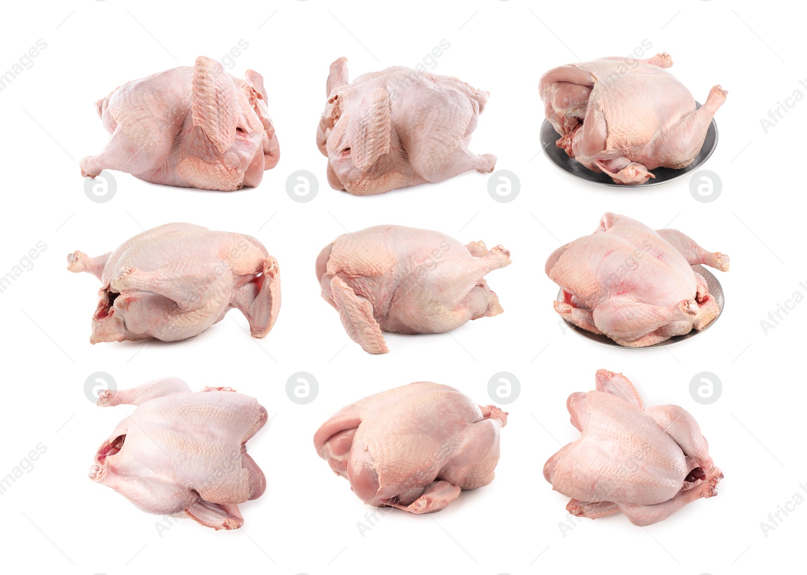 Whole raw turkey isolated on white, set Image of Whole raw turkey isolated on white, set