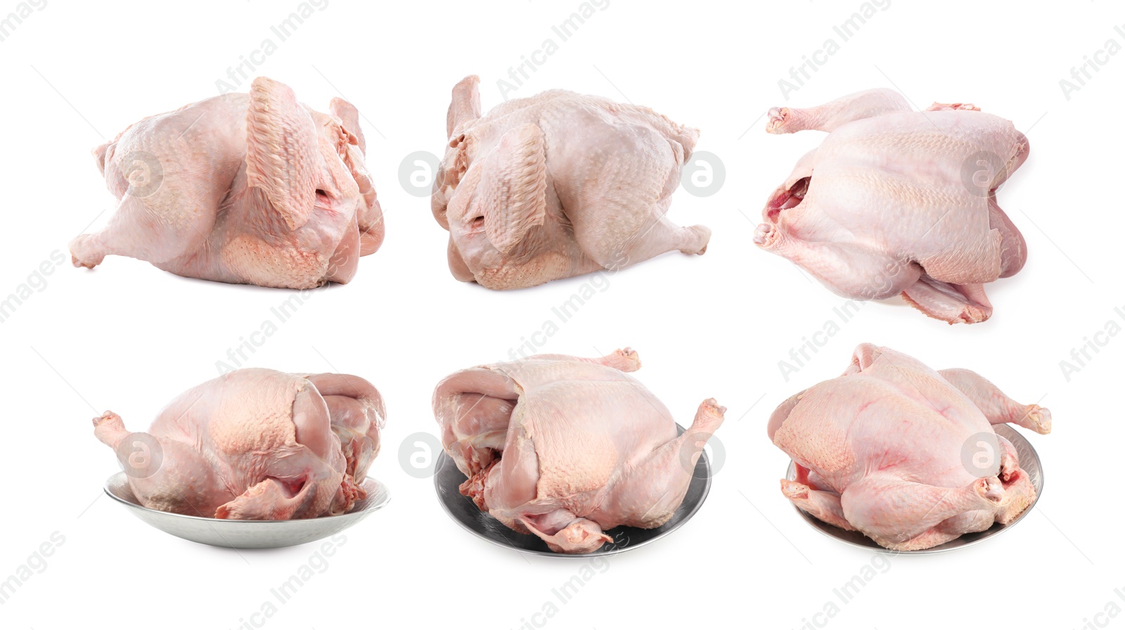 Whole raw turkey isolated on white, set Image of Whole raw turkey isolated on white, set