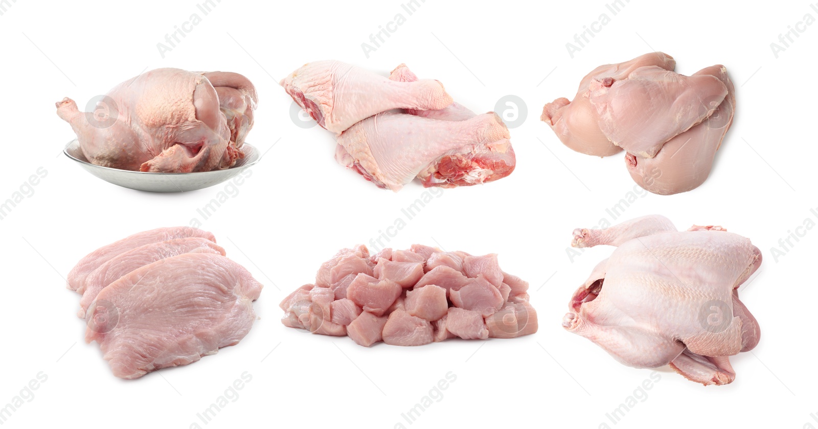 Fresh raw turkey meat isolated on white, set Image of Fresh raw turkey meat isolated on white, set