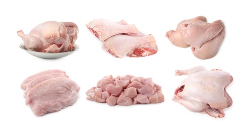 Image of Fresh raw turkey meat isolated on white, set