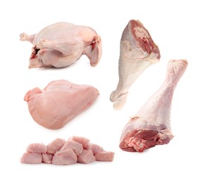 Image of Fresh raw turkey meat isolated on white, set