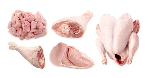 Image of Fresh raw turkey meat isolated on white, set