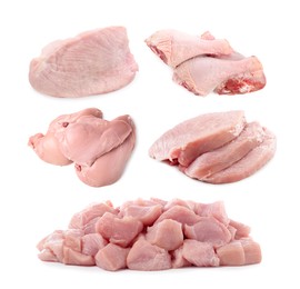 Image of Fresh raw turkey meat isolated on white, set