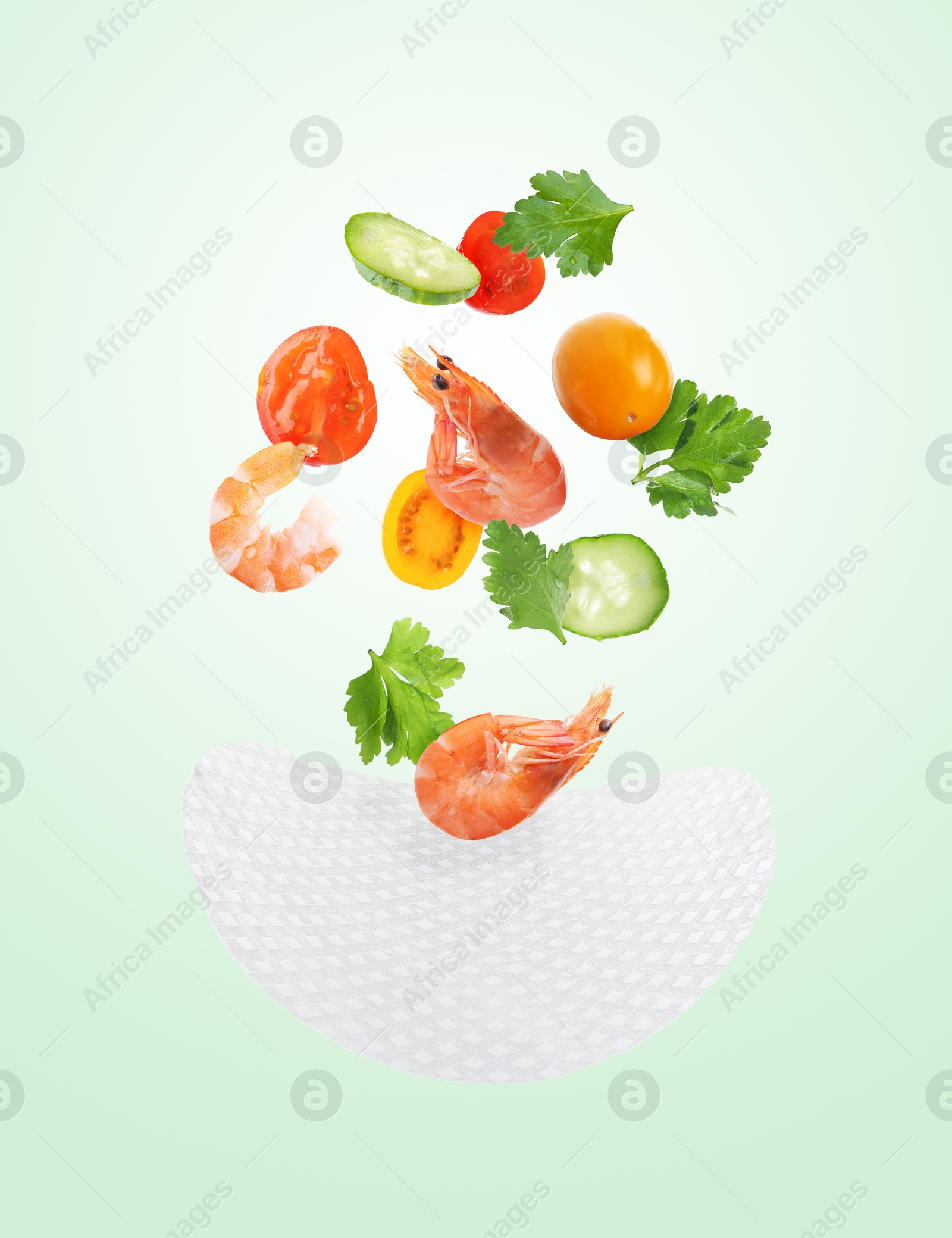 Rice paper and different ingredients falling on aquamarine color gradient background Image of Rice paper and different ingredients falling on aquamarine color gradient background