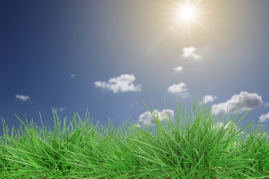 Image of Lush green grass growing under blue sky with clouds on sunny day