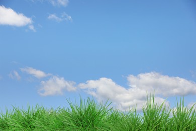 Image of Lush green grass growing under blue sky with clouds