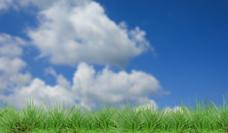 Image of Lush green grass growing under blue sky with clouds. Banner design