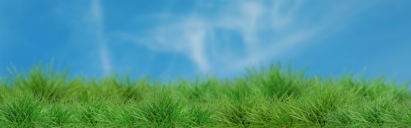Image of Lush green grass growing under blue sky. Banner design
