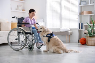 Photo of Girl in wheelchair with her service dog at home. Space for text