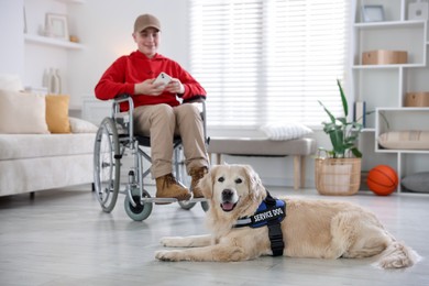Photo of Service dog and boy in wheelchair at home, selective focus