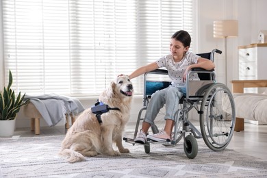 Photo of Girl in wheelchair with her service dog at home. Space for text