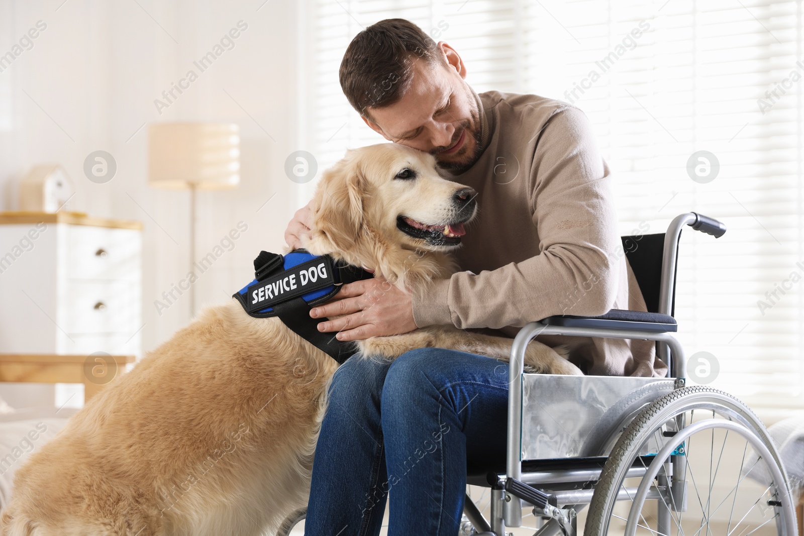 Man in wheelchair hugging his service dog at home Photo of Man in wheelchair hugging his service dog at home