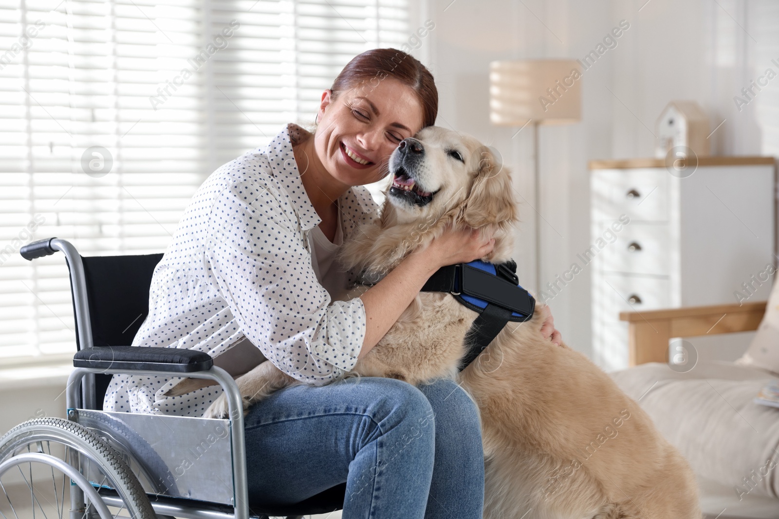 Woman in wheelchair hugging her service dog at home Photo of Woman in wheelchair hugging her service dog at home