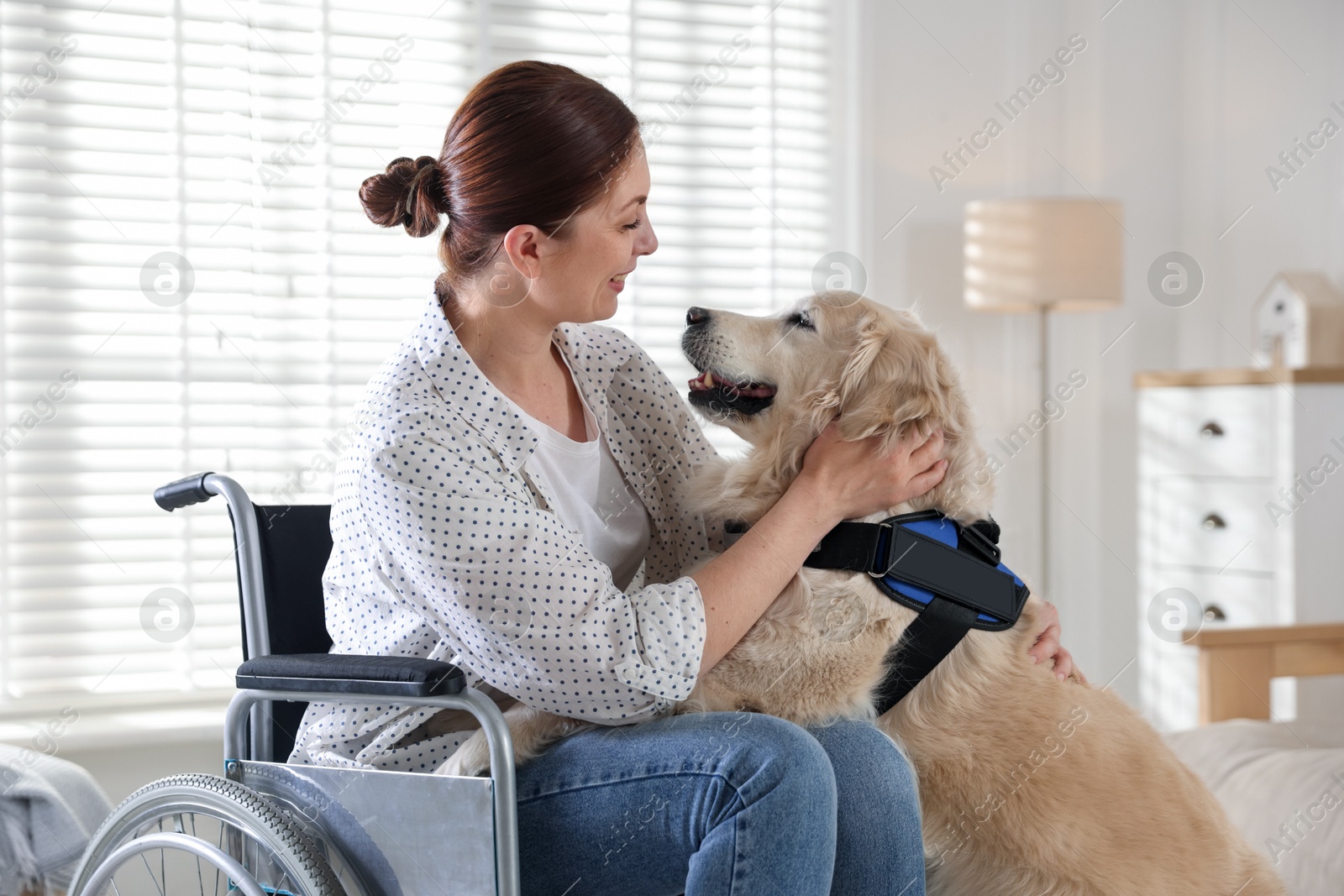 Woman in wheelchair hugging her service dog at home Photo of Woman in wheelchair hugging her service dog at home