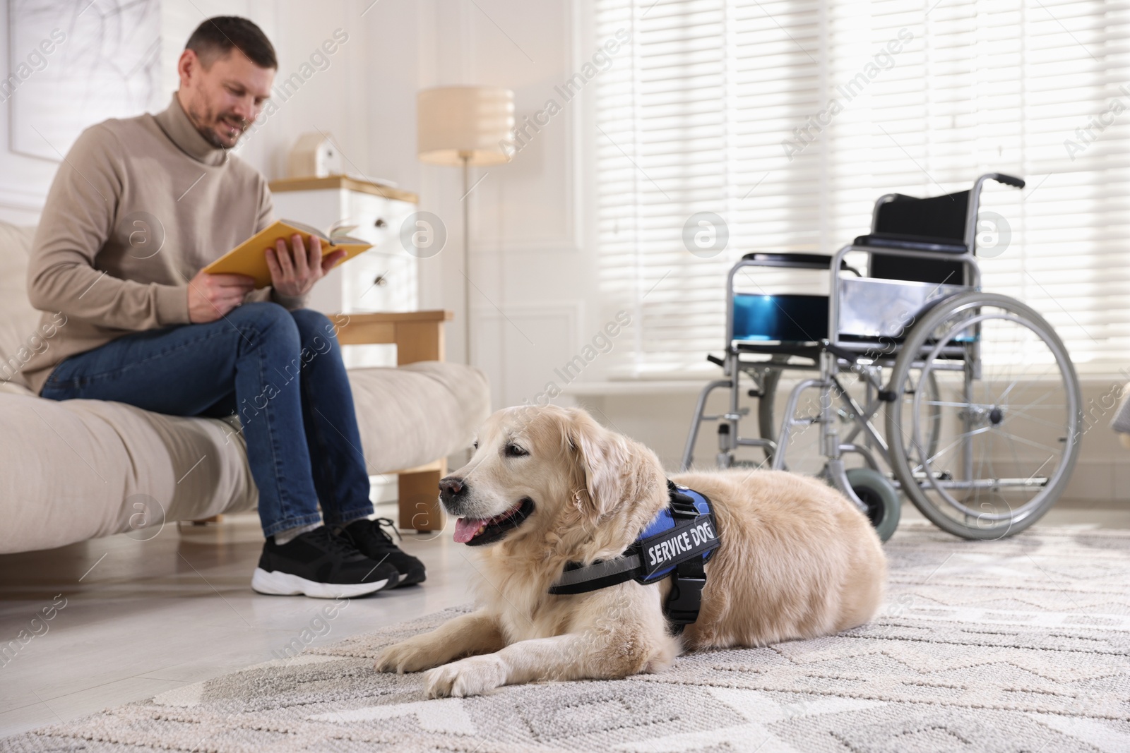 Man with disability reading book and his service dog at home, selective focus Photo of Man with disability reading book and his service dog at home, selective focus