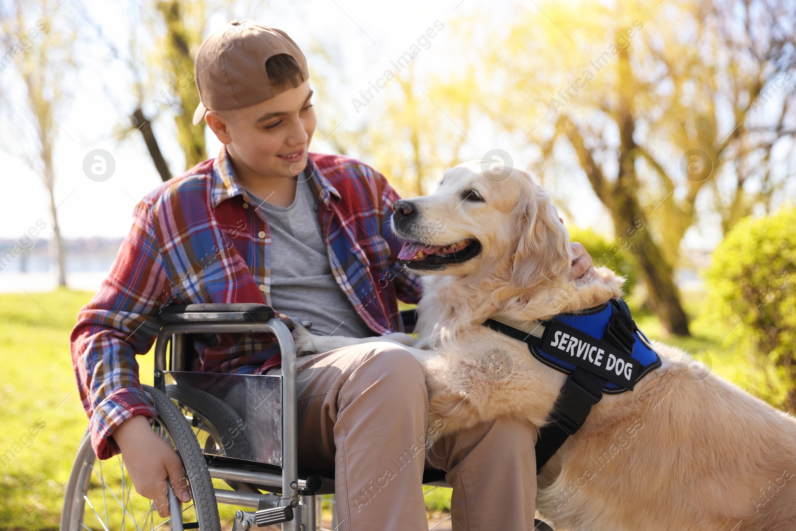 Teenage boy in wheelchair with his service dog at park Photo of Teenage boy in wheelchair with his service dog at park