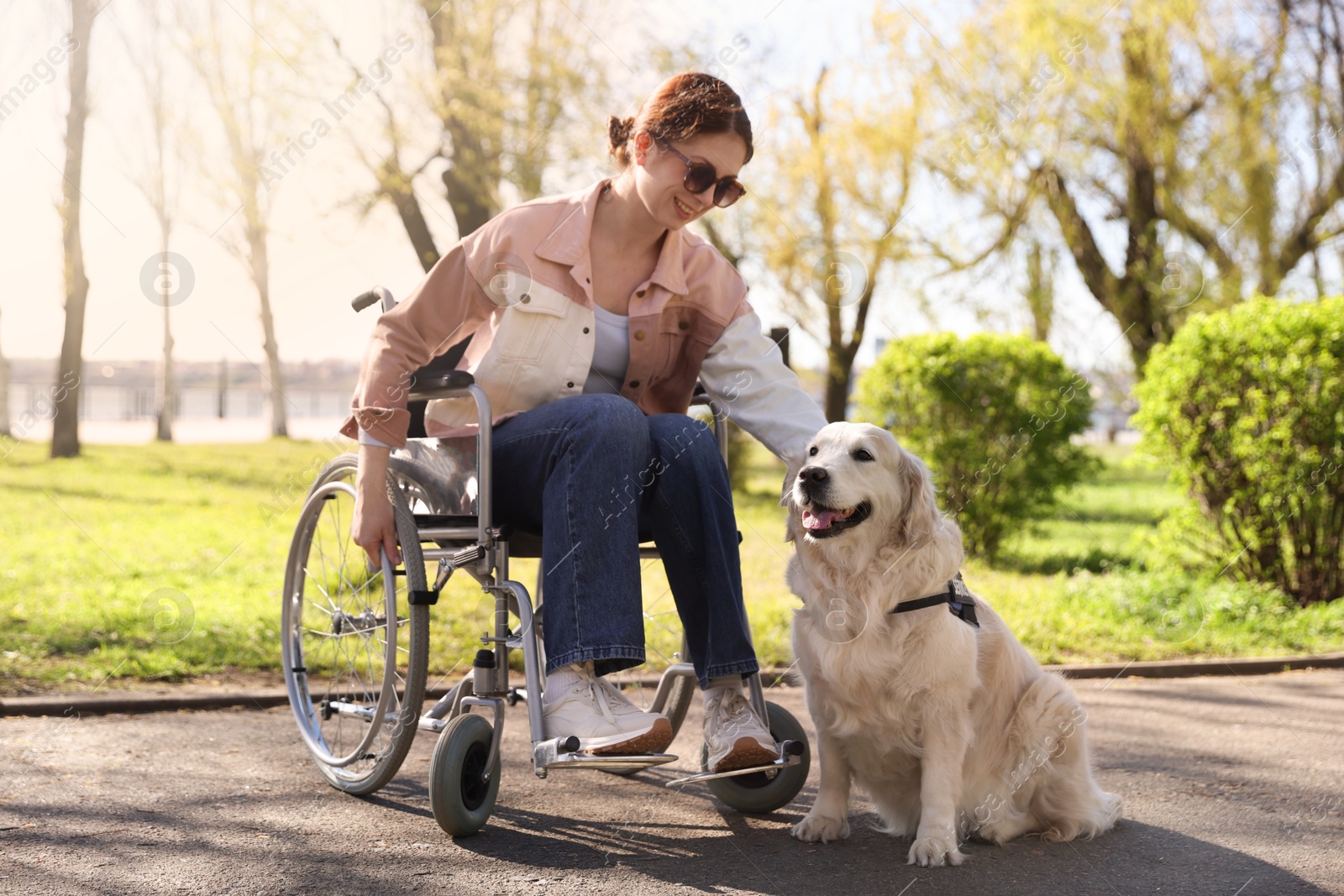 Woman in wheelchair with her service dog at park Photo of Woman in wheelchair with her service dog at park