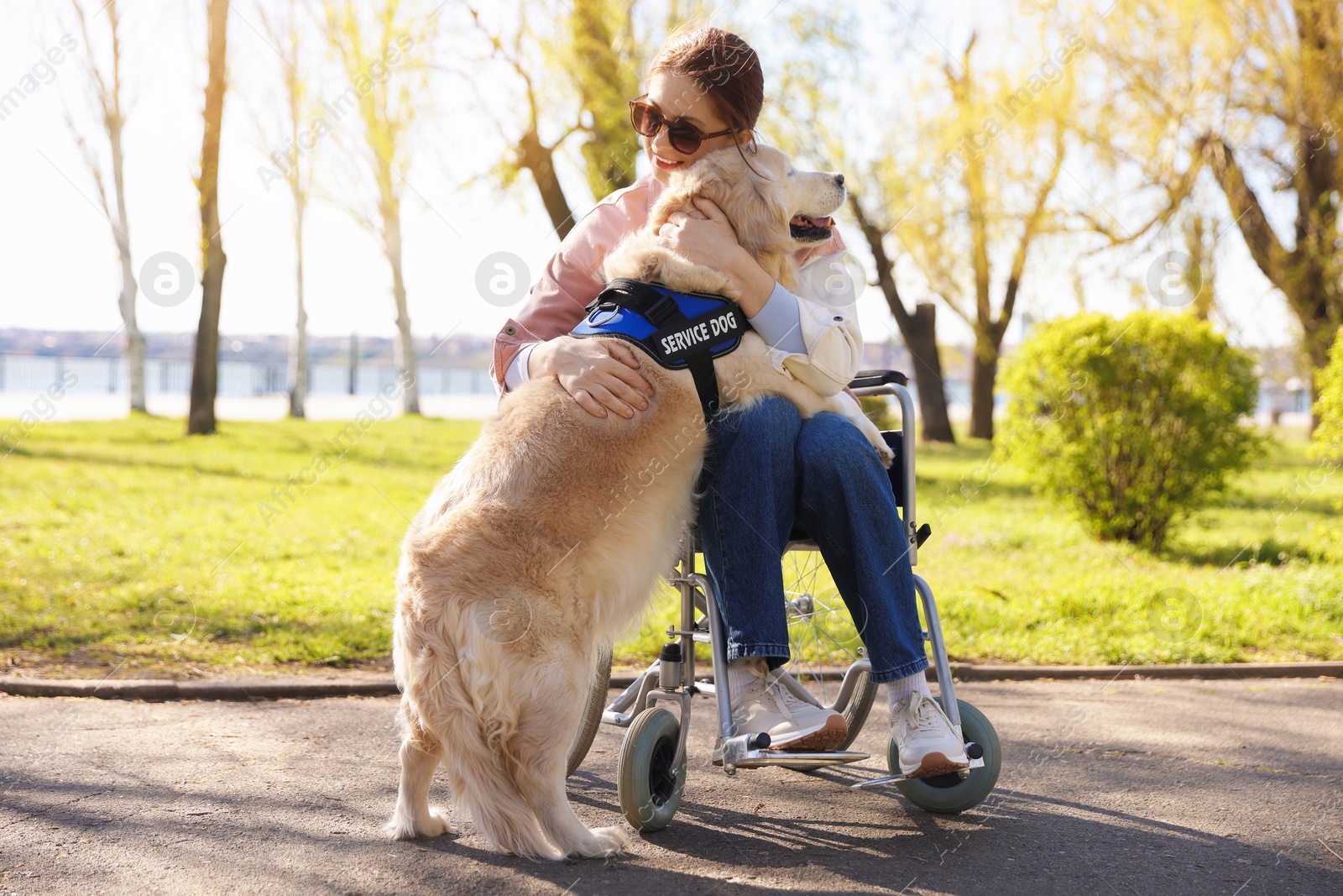 Woman in wheelchair hugging her service dog at park Photo of Woman in wheelchair hugging her service dog at park