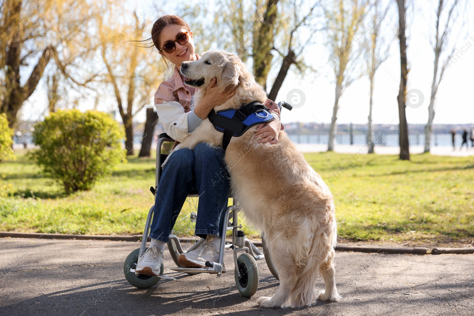 Woman in wheelchair hugging her service dog at park Photo of Woman in wheelchair hugging her service dog at park