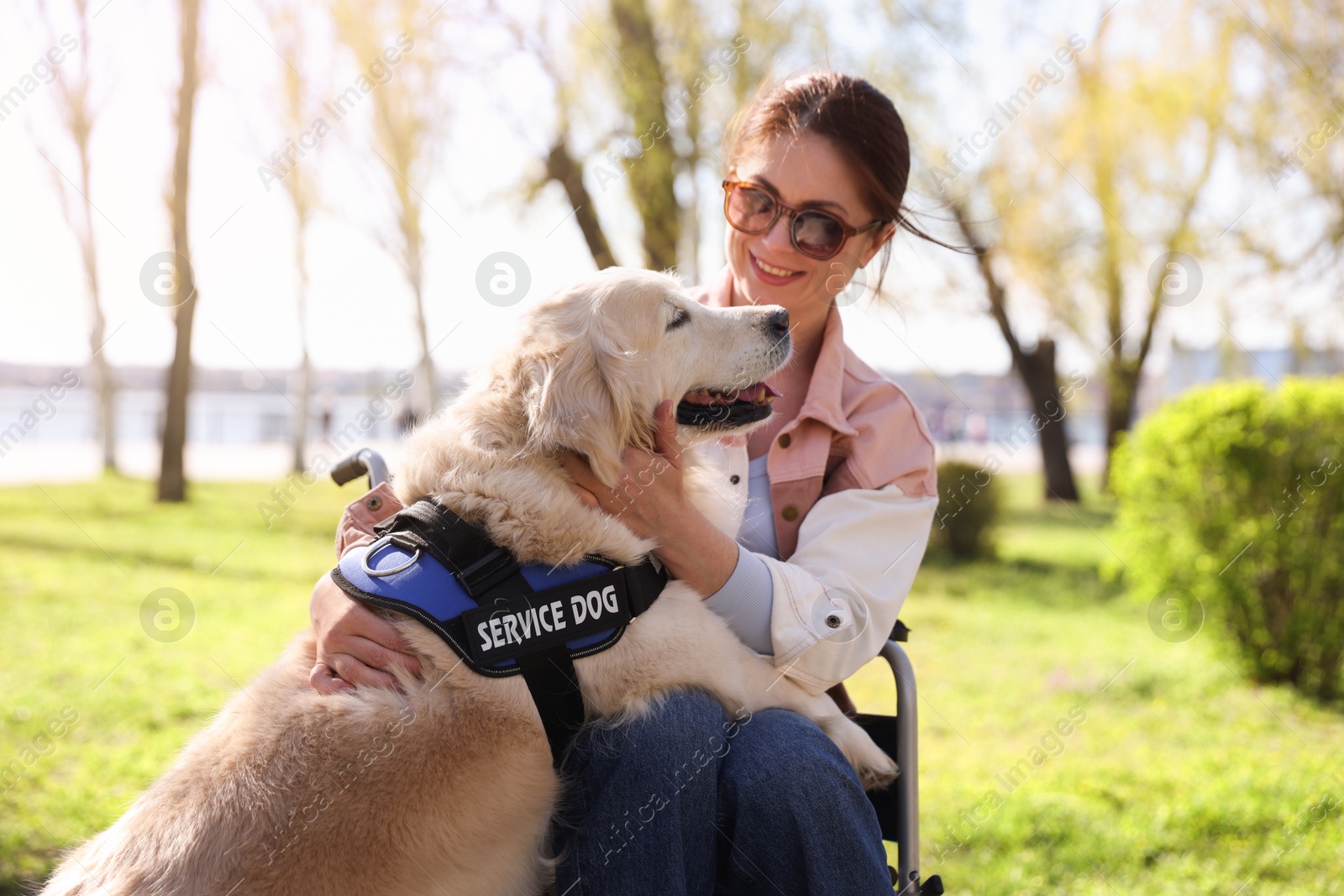 Woman in wheelchair hugging her service dog at park Photo of Woman in wheelchair hugging her service dog at park