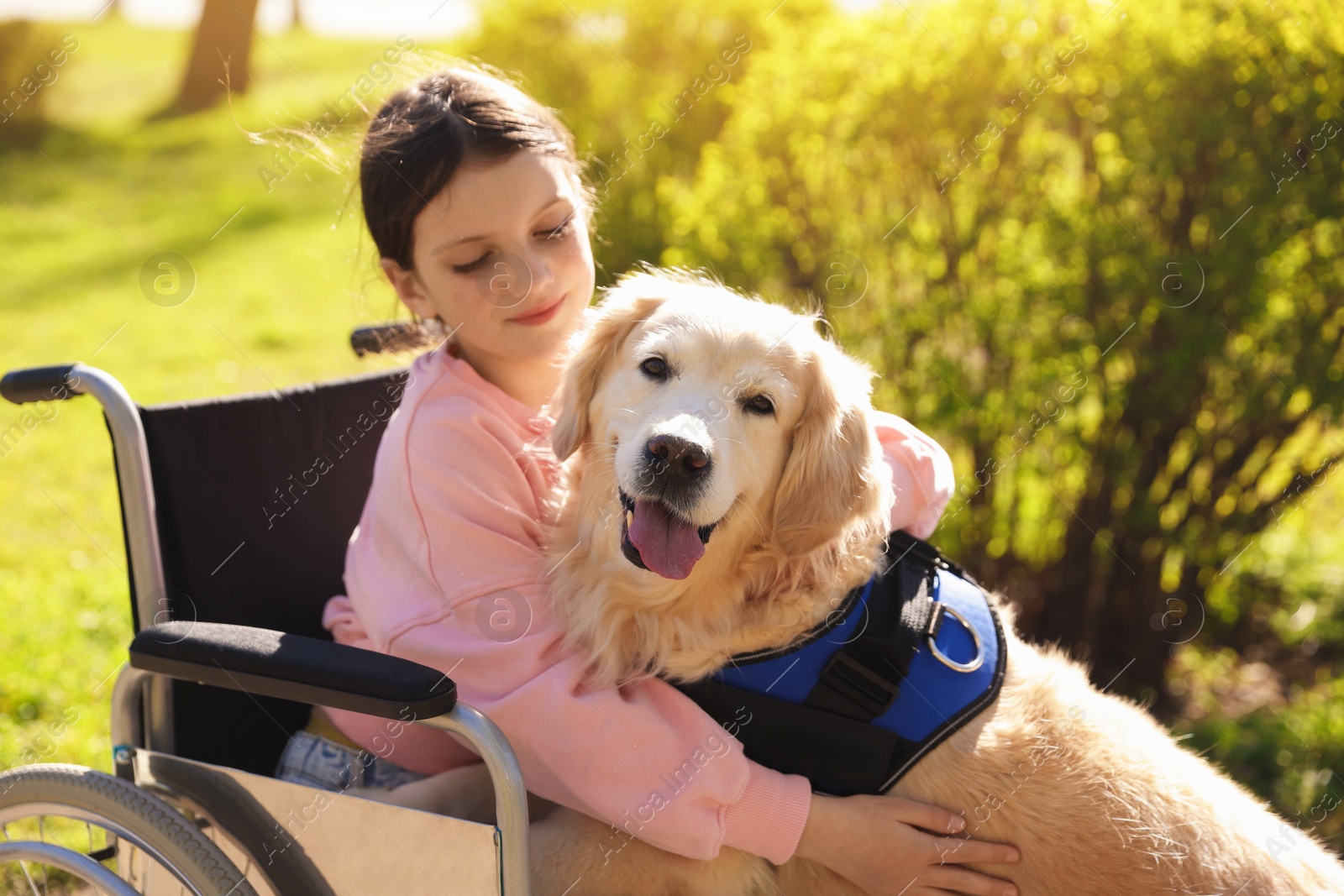 Girl in wheelchair hugging her service dog at park Photo of Girl in wheelchair hugging her service dog at park