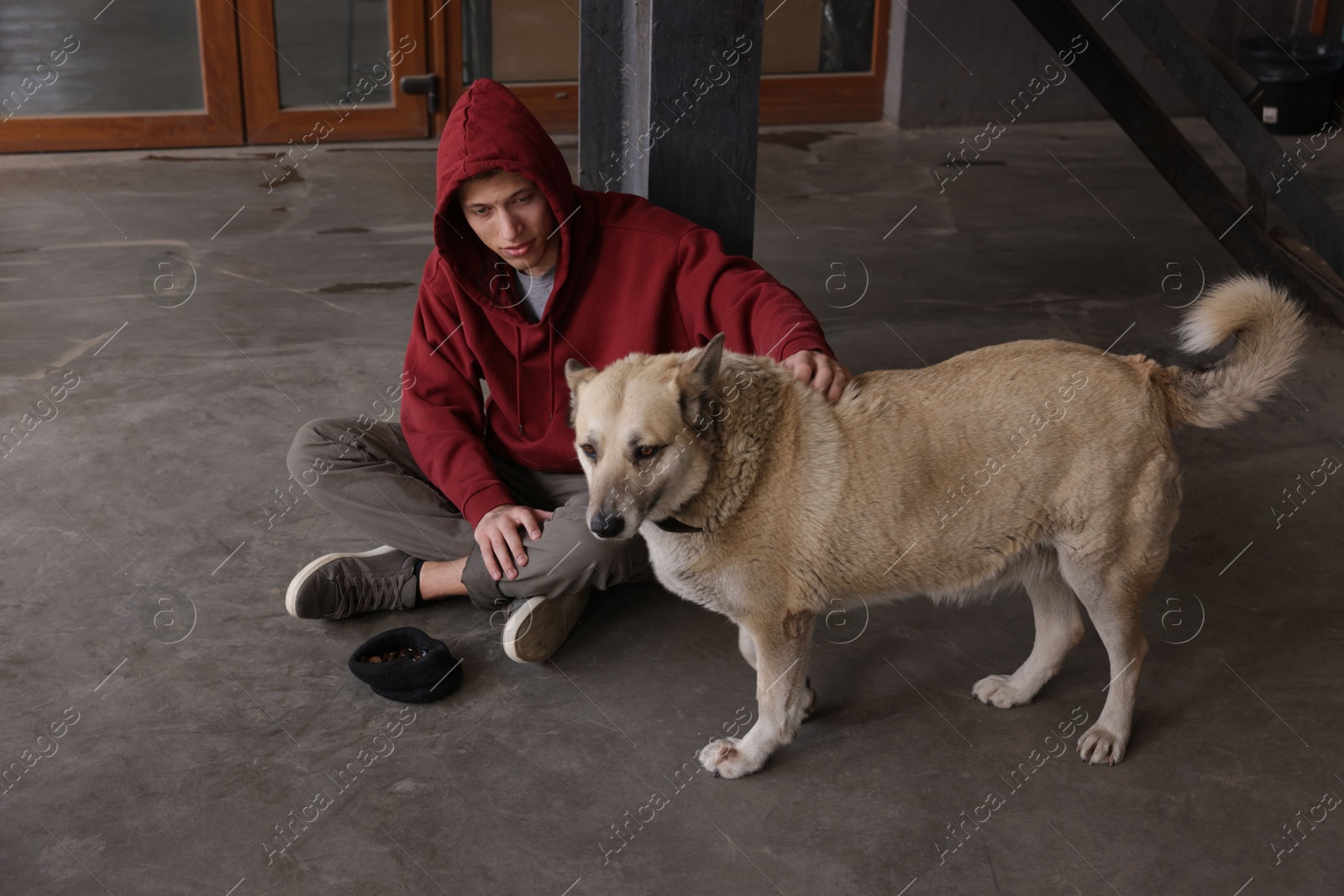 Photo of Homeless man with dog on concrete floor outdoors