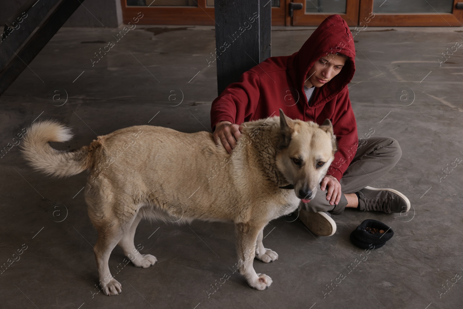 Photo of Homeless man with dog on concrete floor outdoors