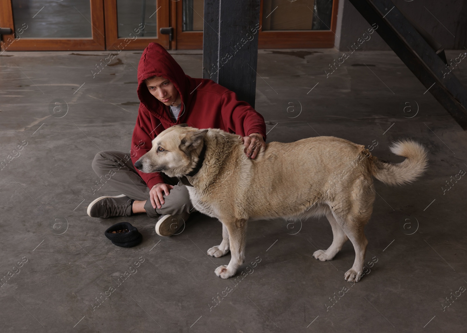 Homeless man with dog on concrete floor outdoors Photo of Homeless man with dog on concrete floor outdoors