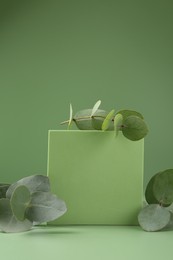 Photo of Beautiful eucalyptus branches on podium against green background
