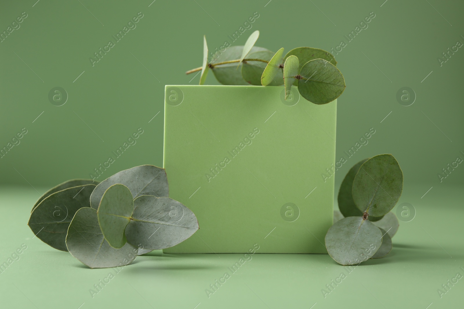 Beautiful eucalyptus branches on podium against green background Photo of Beautiful eucalyptus branches on podium against green background