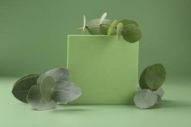 Photo of Beautiful eucalyptus branches on podium against green background