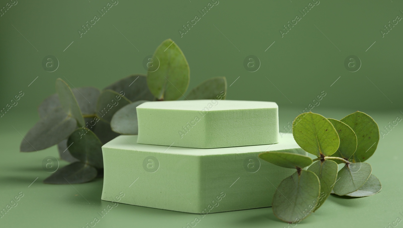 Beautiful eucalyptus branches on podium against green background Photo of Beautiful eucalyptus branches on podium against green background