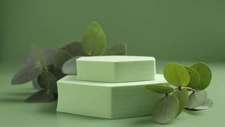 Photo of Beautiful eucalyptus branches on podium against green background
