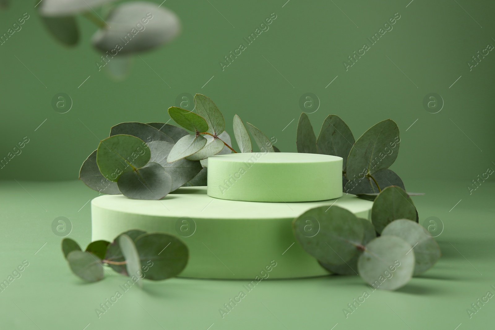 Beautiful eucalyptus branches on podium against green background Photo of Beautiful eucalyptus branches on podium against green background