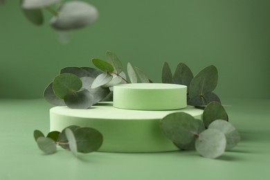 Photo of Beautiful eucalyptus branches on podium against green background