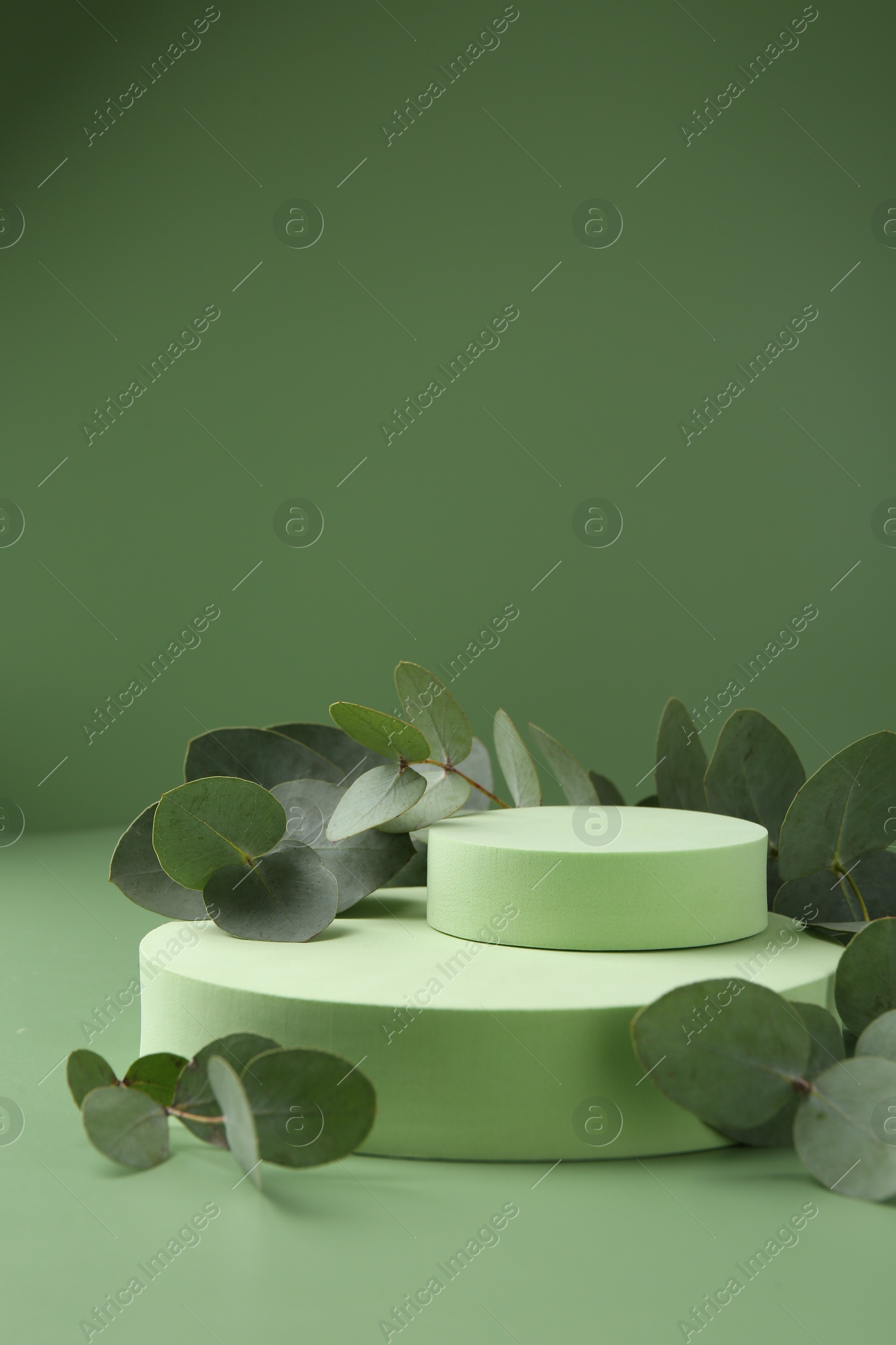 Beautiful eucalyptus branches on podium against green background. Space for text Photo of Beautiful eucalyptus branches on podium against green background. Space for text