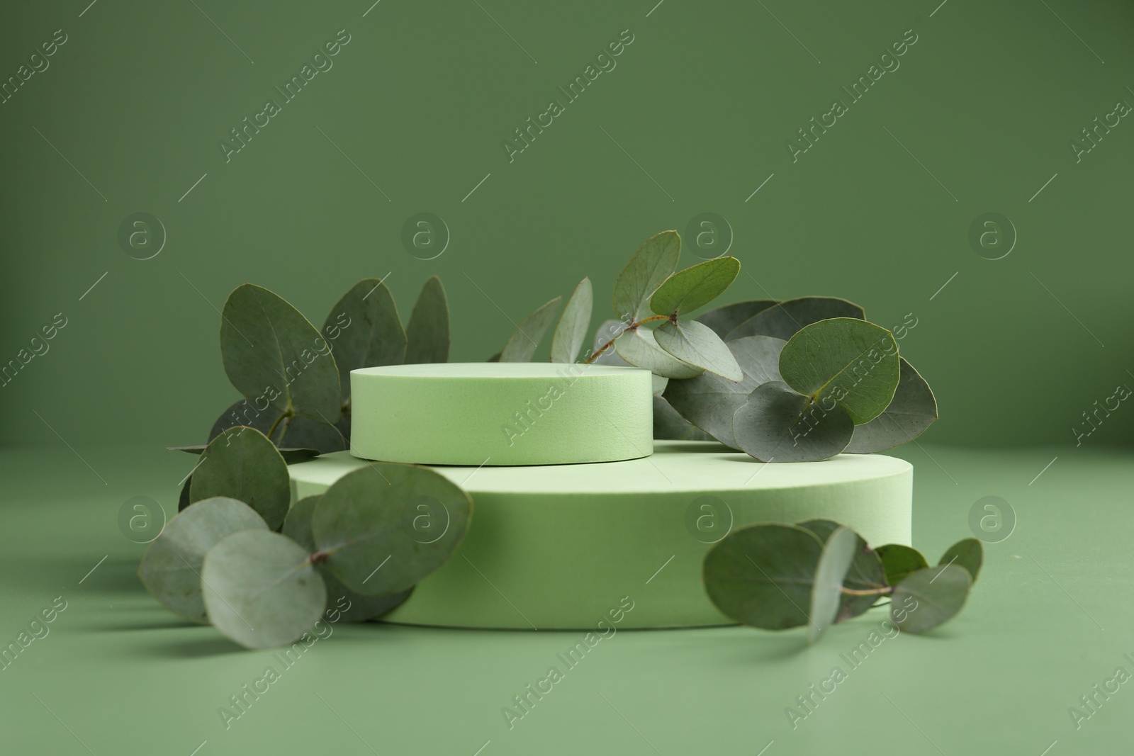 Beautiful eucalyptus branches on podium against green background. Space for text Photo of Beautiful eucalyptus branches on podium against green background. Space for text