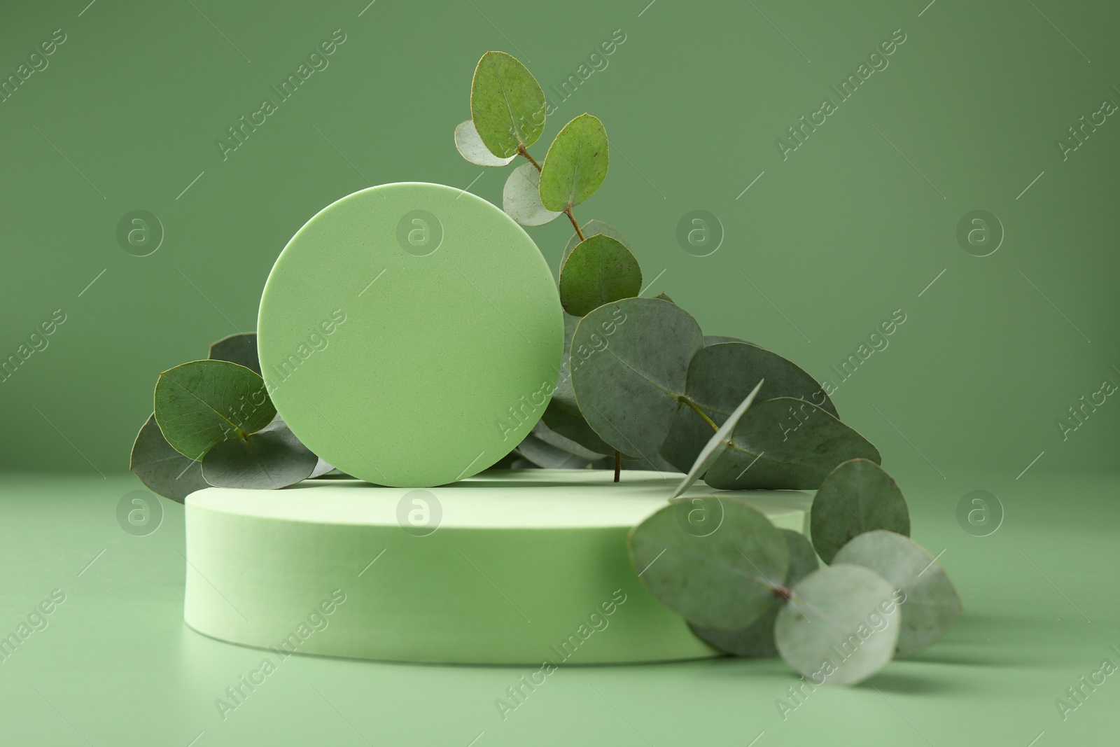 Beautiful eucalyptus branches on podium against green background Photo of Beautiful eucalyptus branches on podium against green background