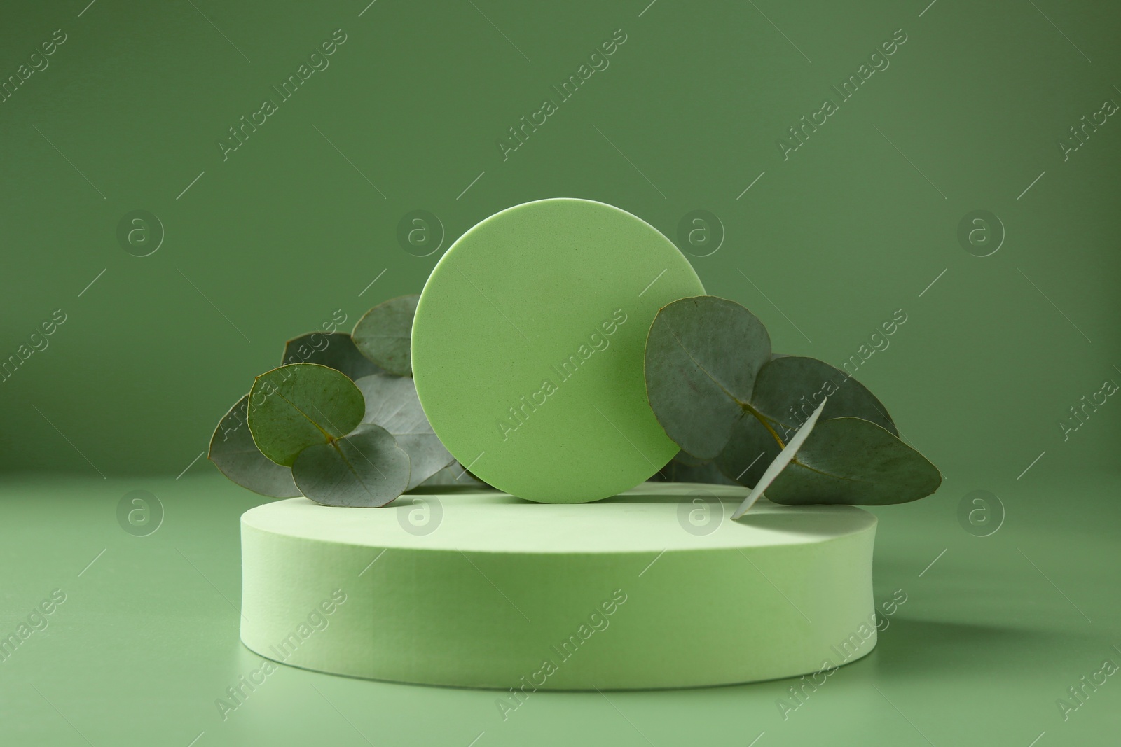 Beautiful eucalyptus branches on podium against green background Photo of Beautiful eucalyptus branches on podium against green background