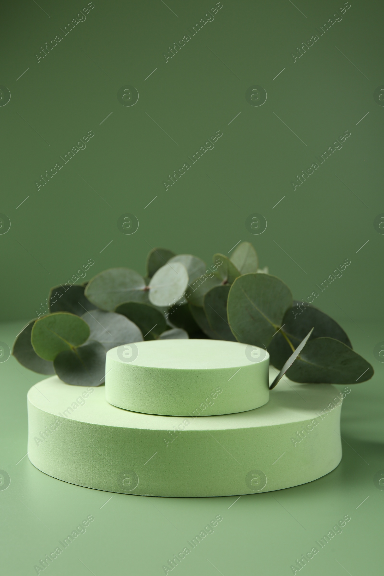Beautiful eucalyptus branches on podium against green background. Space for text Photo of Beautiful eucalyptus branches on podium against green background. Space for text