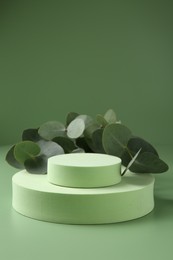 Photo of Beautiful eucalyptus branches on podium against green background. Space for text