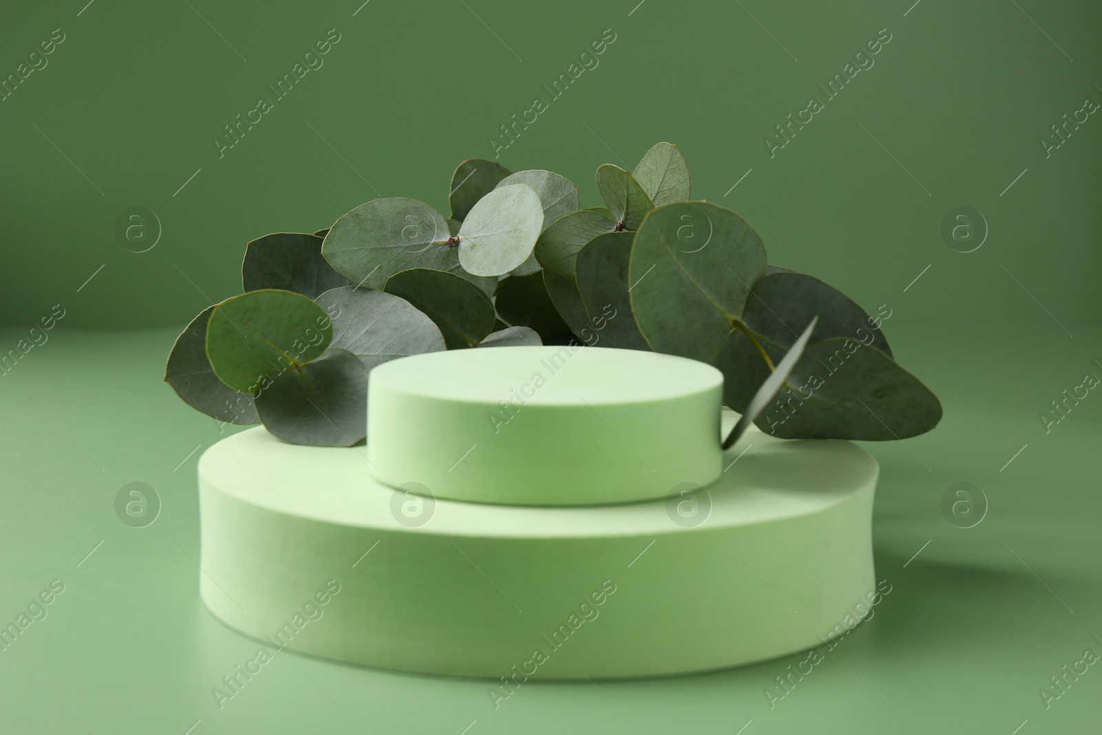 Beautiful eucalyptus branches on podium against green background Photo of Beautiful eucalyptus branches on podium against green background